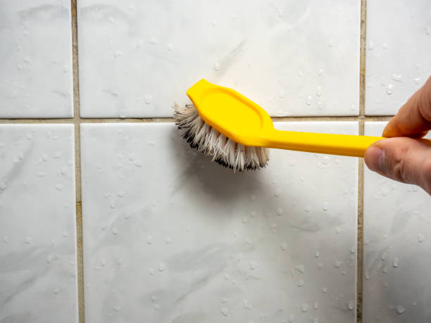Best Toxic Mold Removal  in Tilden, NE