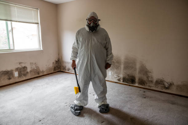 Best Attic Mold Removal  in Tilden, NE